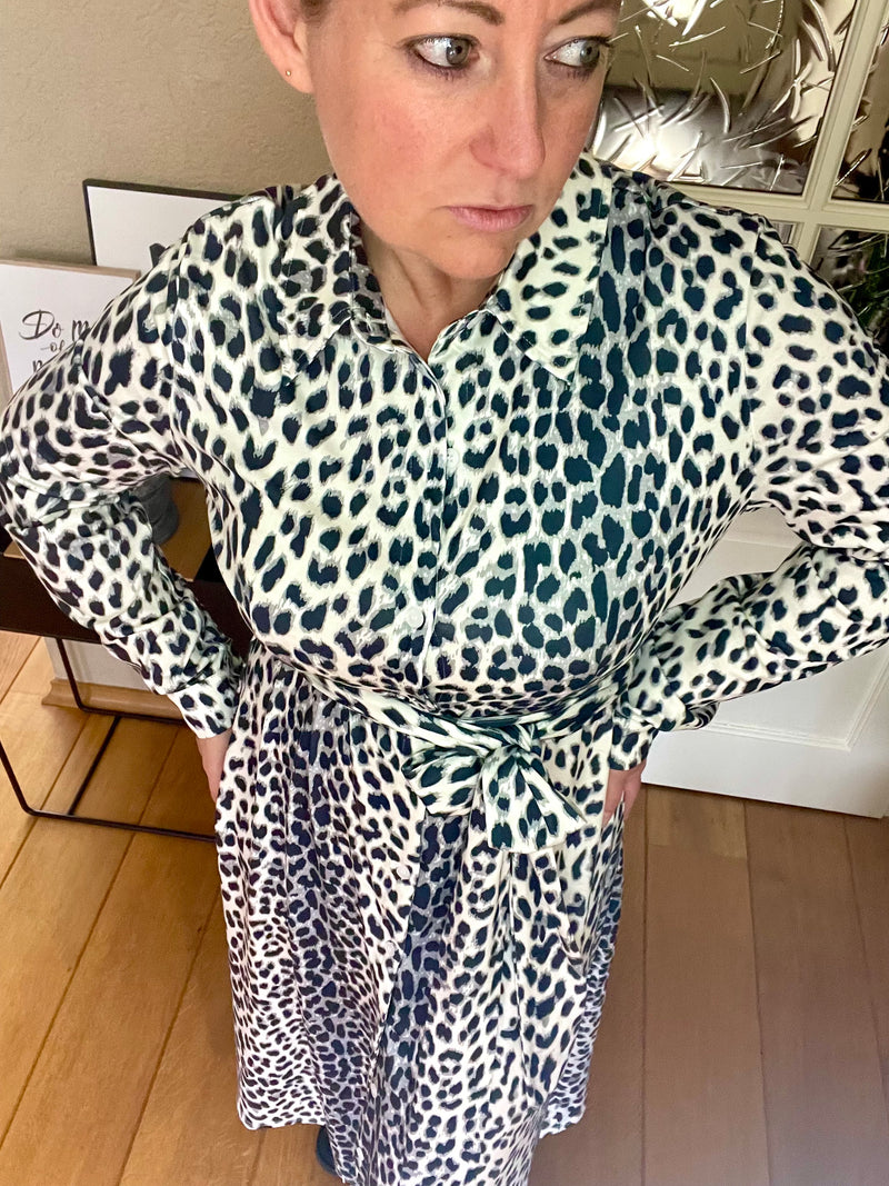 Dress Oh Leo