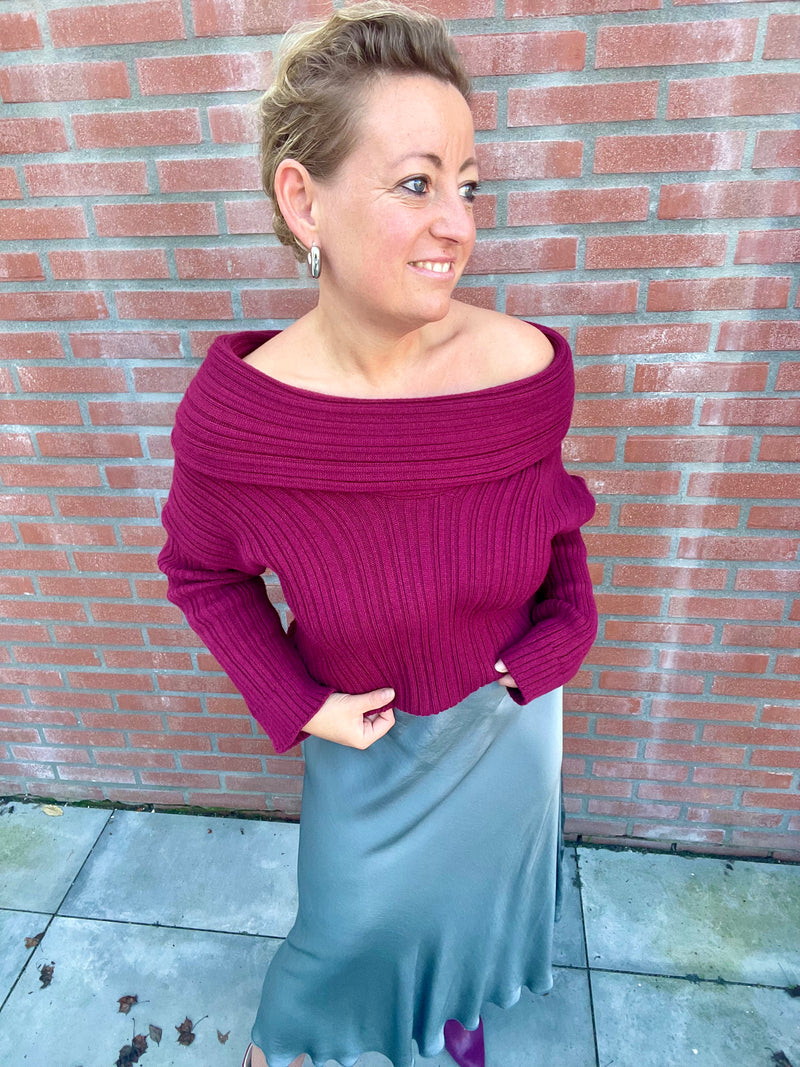 Skirt Grey shine