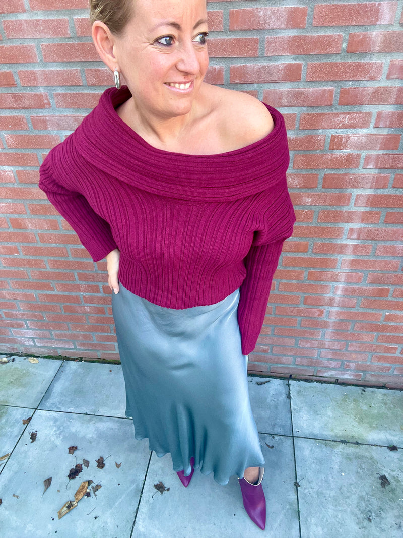 Skirt Grey shine