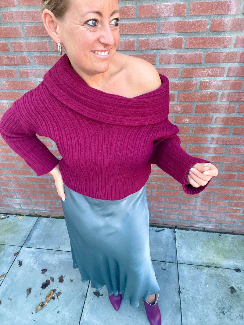 Skirt Grey shine